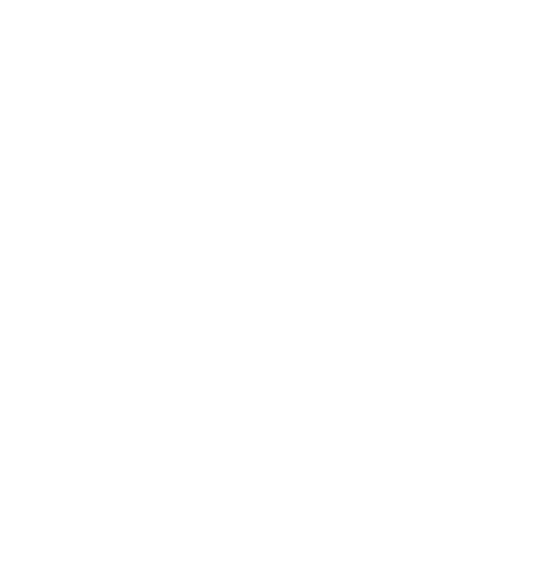 Boca Raton Tree Trimming