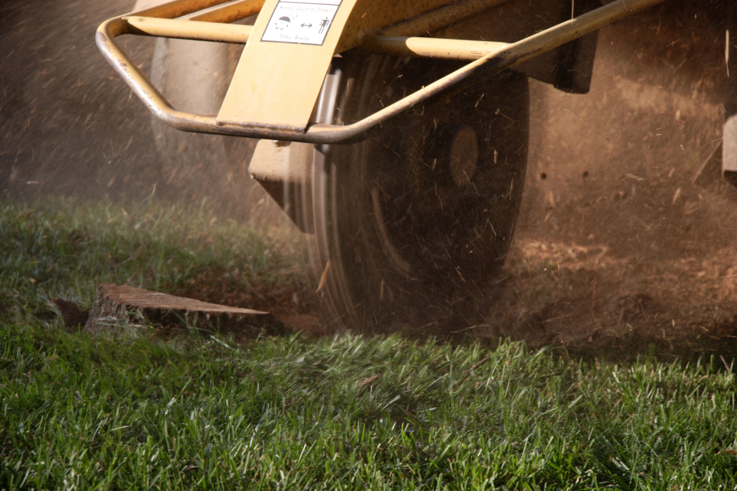 stump grinder