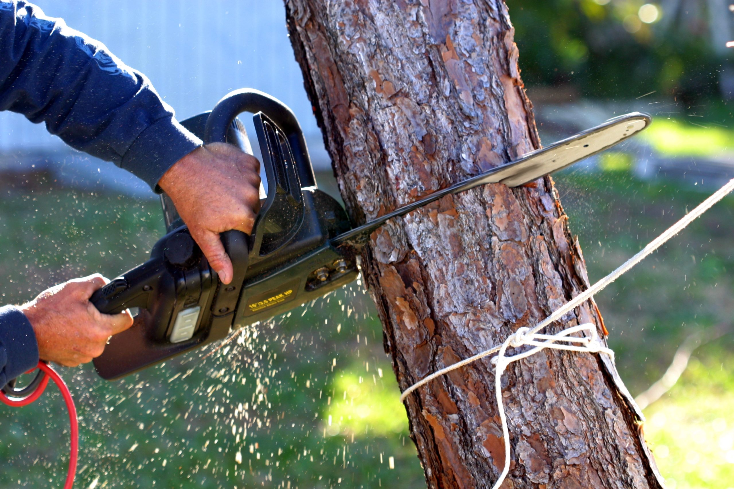 Tree cutting service