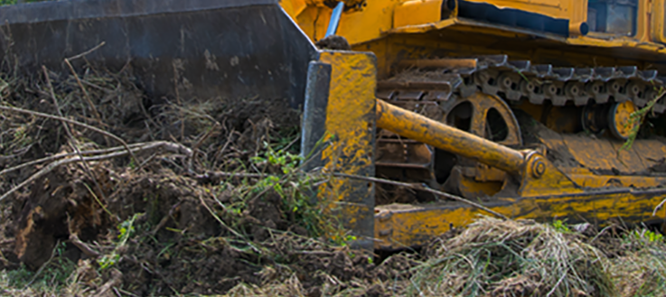 land clearing