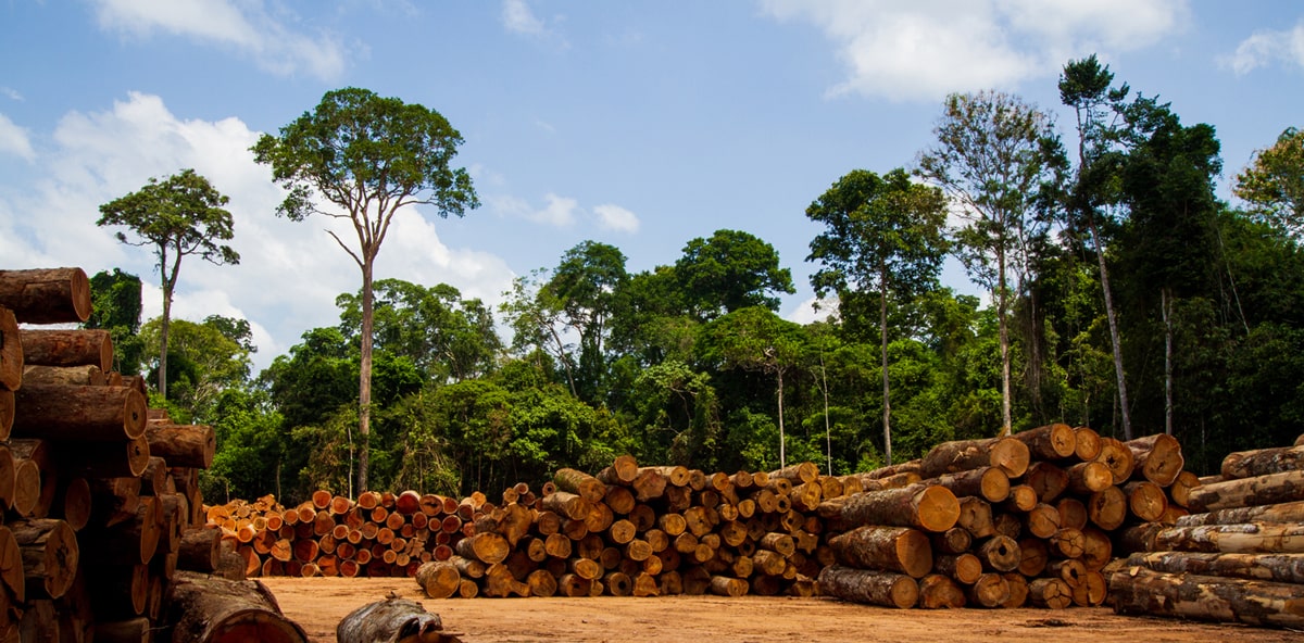 land cleared in preparation for building