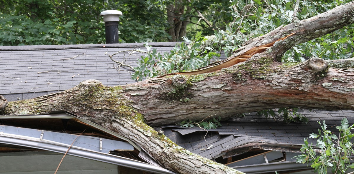 home damaged by tree during a storm