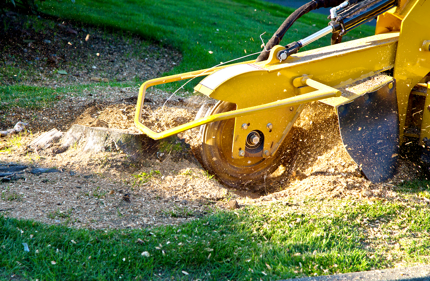 stump clearing service