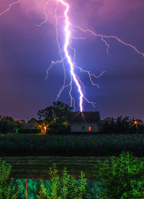 Lightning is one of the most common causes for Emergency Tree Removal