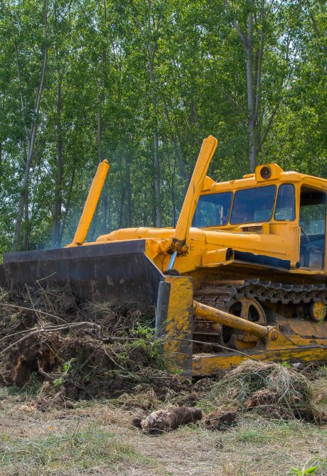 Preparation for planting trees. Eradicating forest with a bulldozer.