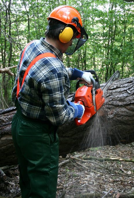 Tree Service in Walton Georgia cutting a tree with a chainsaw